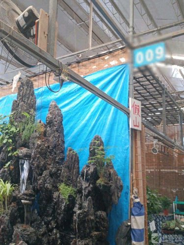 假山鱼池钓场环境照片
