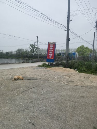 好运来钓鱼场钓场环境照片