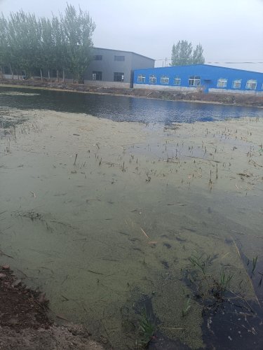 振华雷强钓场钓点与钓场环境照片