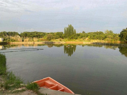 徐家湾老曹钓鱼场钓场环境照片