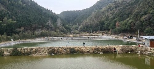 梅坡渔乐垂钓场钓场环境照片
