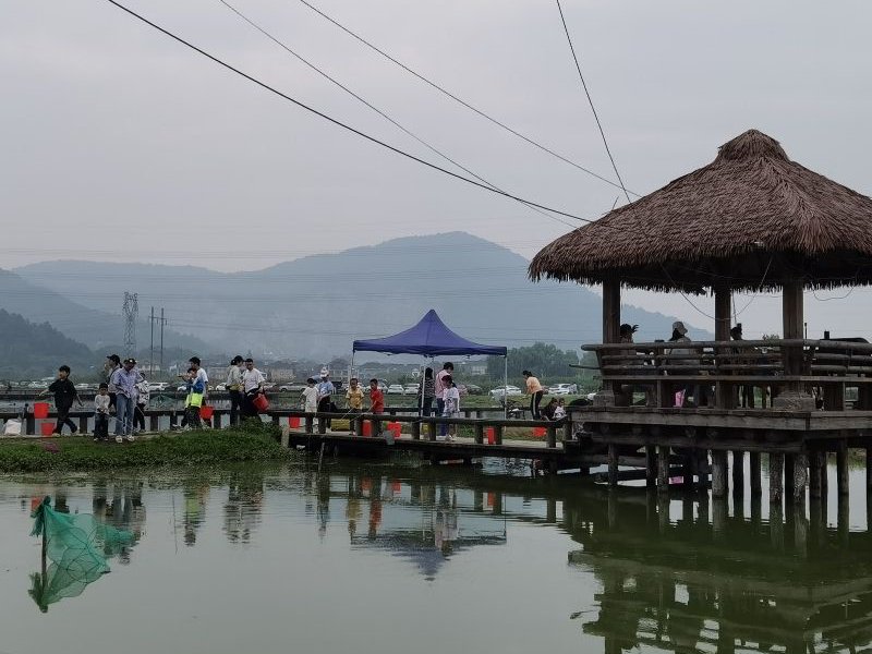 原乡荷花塘小龙虾垂钓区钓场环境照片