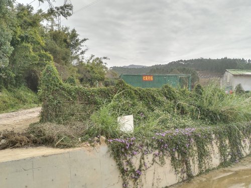 杜阮钓场钓点与钓场环境照片