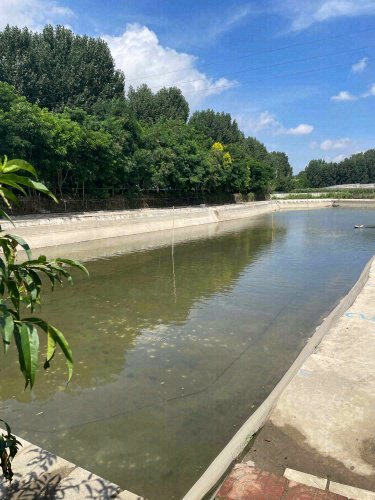 烟台1号钓场钓点与钓场环境照片