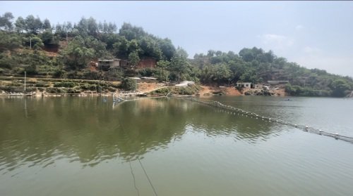 观音村铁犁休闲钓鱼农庄钓场环境照片