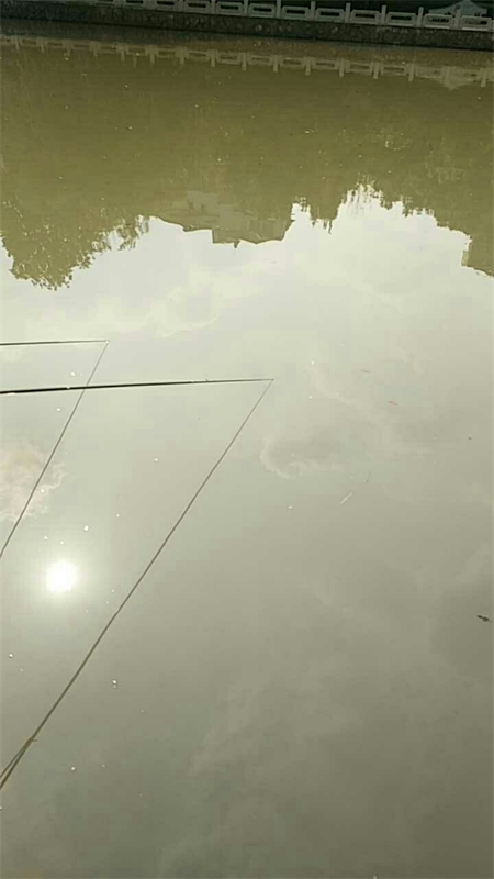 上塘河钓场环境缩略图
