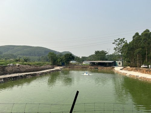 兄弟连休闲钓场钓场环境照片