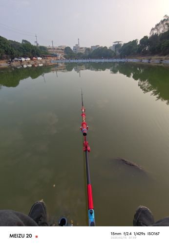 鸿运塘背园休闲钓场钓点与钓场环境照片