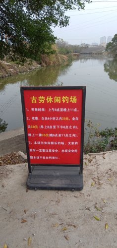 古劳休闲钓场钓点与钓场环境照片