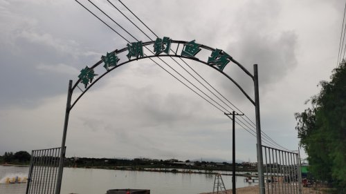 海乐钓鱼场钓场环境照片