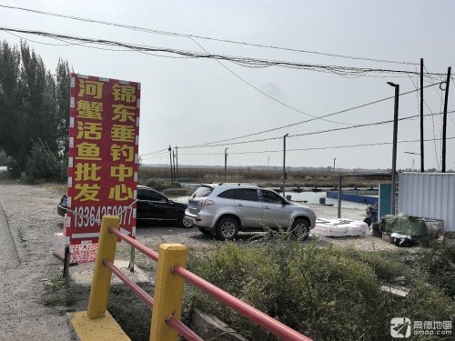锦东垂钓中心钓场环境照片