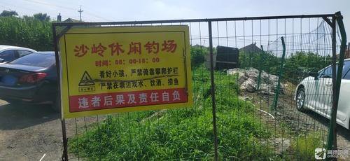 沙岭休闲钓场钓场环境照片