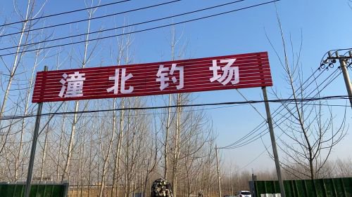 潼北钓场钓场环境照片