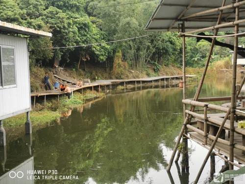 广州市黄埔区东坑钓鱼场钓点与钓场环境照片
