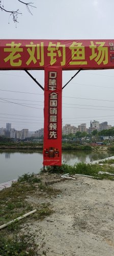 老刘钓鱼场钓场环境照片