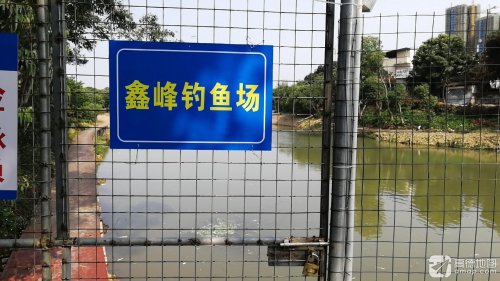 鑫峰钓鱼场钓点与钓场环境照片
