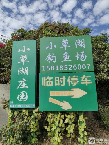 小草湖钓鱼场钓点与钓场环境照片