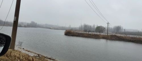 刁家岭钓场钓点与钓场环境照片