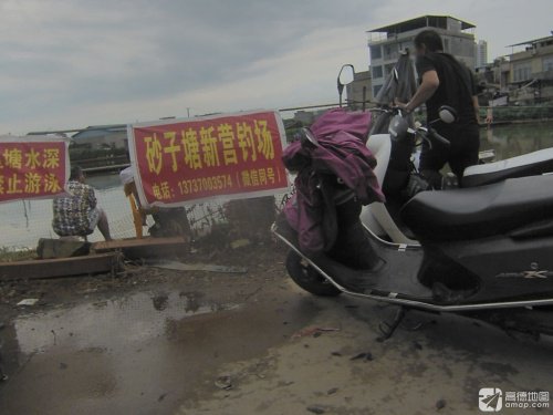 砂子塘新营钓场钓场环境照片