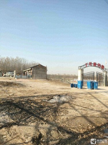 7号垂钓园钓点与钓场环境照片