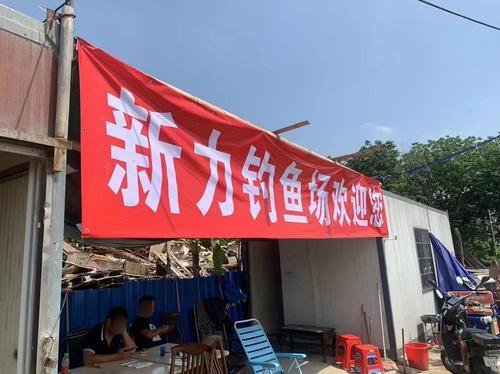 新力钓鱼场钓点与钓场环境照片