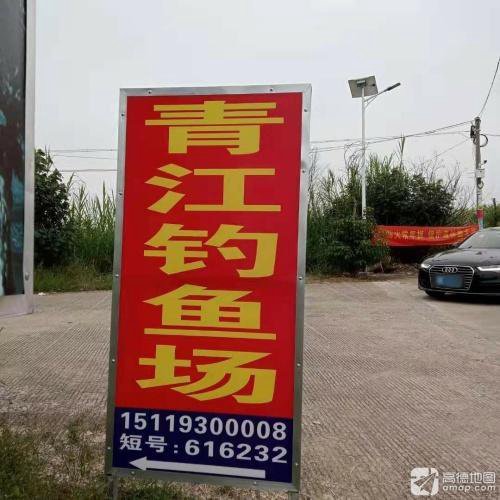 青江钓鱼场钓点与钓场环境照片