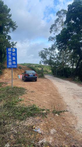 顺钦生态钓场钓场环境照片