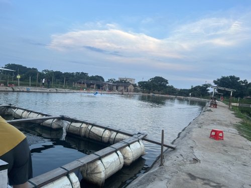 合兴休闲钓鱼庄钓场环境照片
