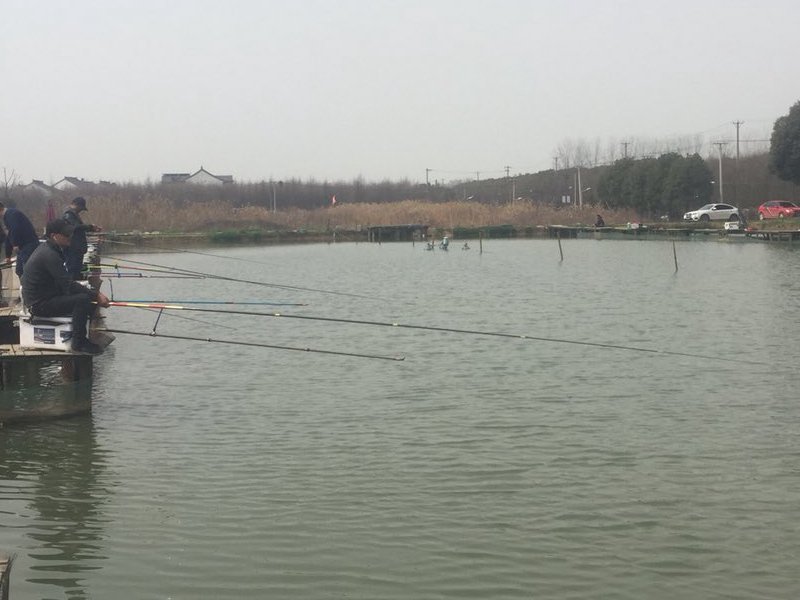 景湖园垂钓中心钓场环境照片