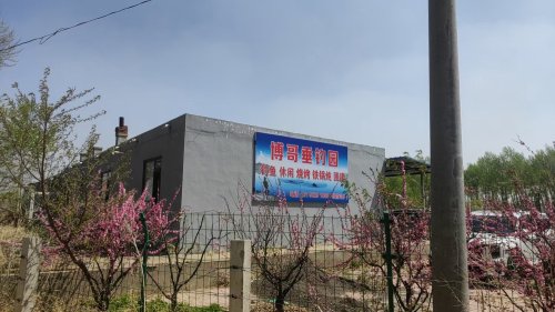 博哥垂钓园钓场环境照片