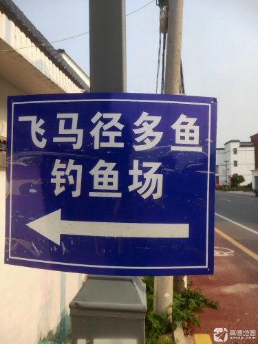 飞马径多鱼钓鱼场钓场环境照片