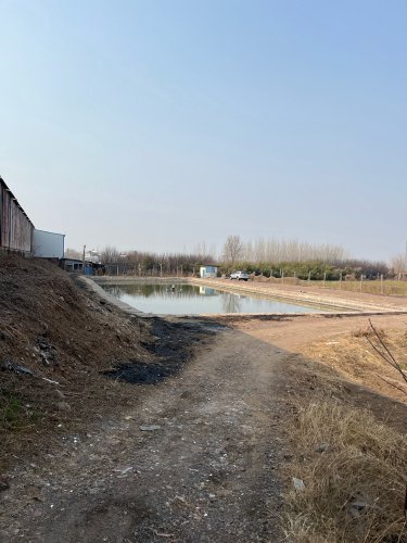 明泉垂钓园钓点与钓场环境照片