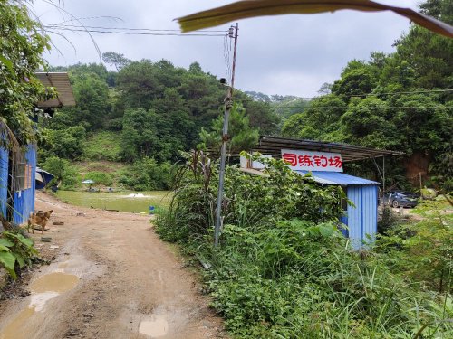 司练钓场钓场环境照片