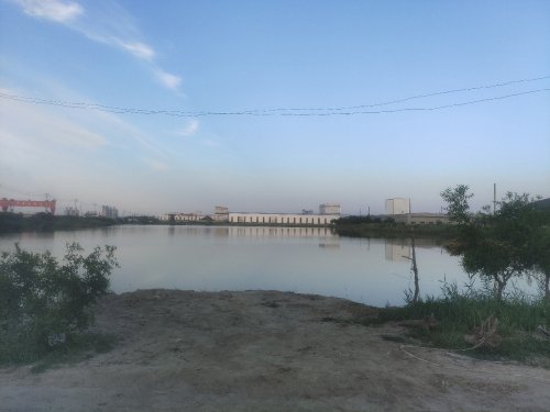无棣开发区钓场钓点与钓场环境照片