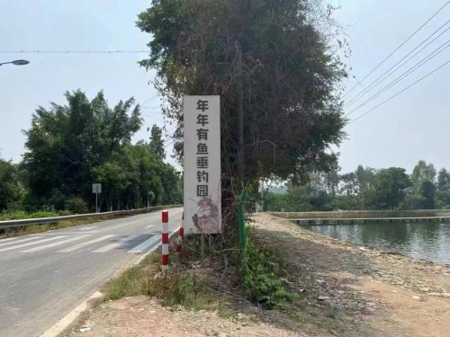 年年有鱼垂钓园钓场环境照片