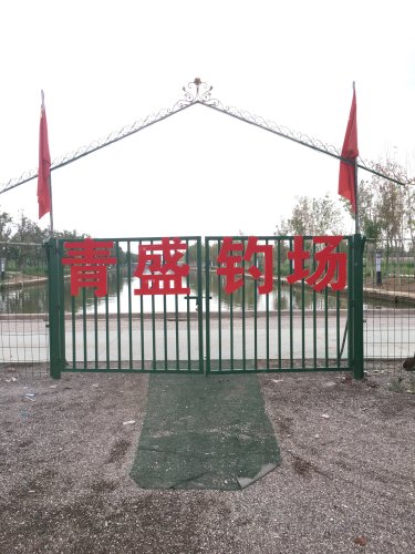 青盛钓场钓点与钓场环境照片