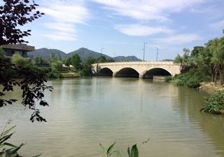 白马湖钓点与钓场环境照片