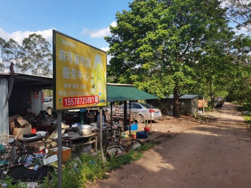 钦州麻芎垂钓园钓场环境照片