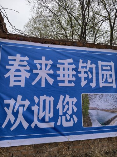 春来垂钓园钓场环境照片
