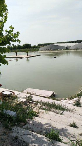 寿光姜公台垂钓园钓点与钓场环境照片