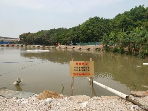 环滘钓鱼场钓点与钓场环境照片