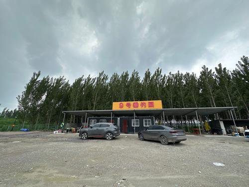 霸州9号垂钓园钓场环境照片