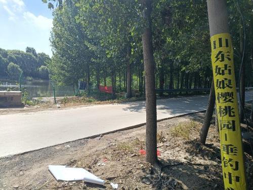 山东姑娘樱桃园垂钓中心钓点与钓场环境照片