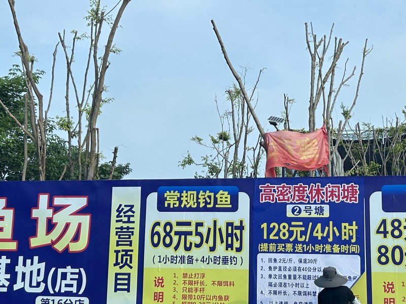 老马钓鱼场(新亚运垂钓基地)钓点与钓场环境照片