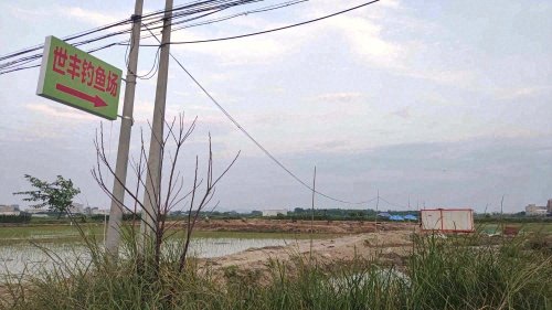 世丰钓鱼场钓点与钓场环境照片