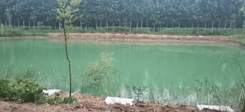 平安垂钓园钓点与钓场环境照片