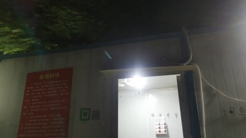 金湖钓场钓点与钓场环境照片