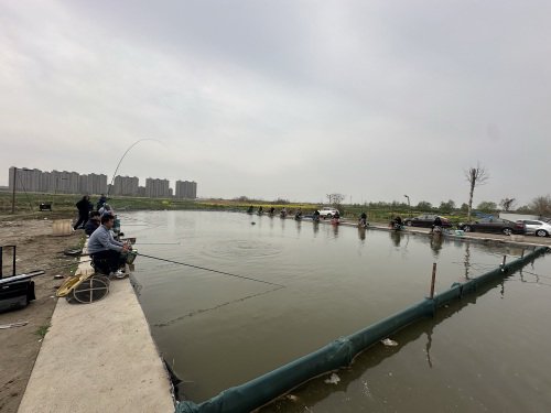 庆驰垂钓园钓场环境照片