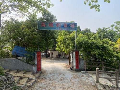 高峰钓鱼场钓点与钓场环境照片