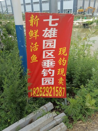 七雄工业园区垂钓园钓场环境照片